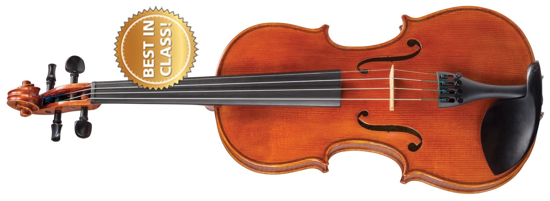 how much money do I have to spend for a kids violin