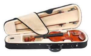 who would prefer to buy a new mendini violin