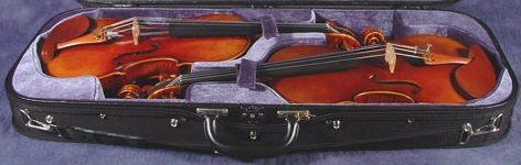 what violin case do you need to protect the instrument